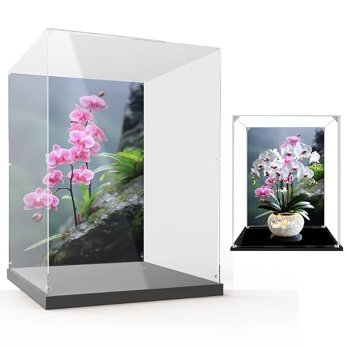 Sammlervitrinen für Lego Flowers 10311 Phalaenopsis-Orchideen, perfekt für Sammler! Geschenkidee für Erwachsene und Jugendliche Fans(Kein Modell) (Hintergrund I) von Generisch