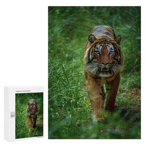 Savannah Tiger 300 Teile Set Holzpuzzle - Poliertes Holz, Perfekte Geschicklichkeitsentwicklung für Tierliebhaber Savannah Tiger 300 Teile Set Holzpuzzle - Poliertes Holz, Perfekte Geschicklichkeitsentwicklung für Tierliebhaber von Generisch