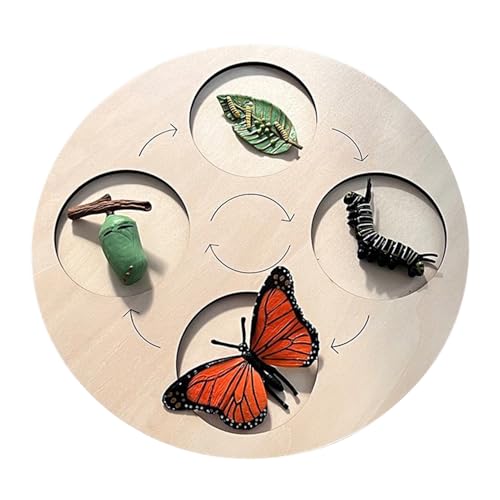 Schmetterlings Lebenszyklus Lernset | Entwicklungszyklus Puzzle | Lebenszyklus Brett aus Holz | Pädagogisches Lernbrett Aus Holz | interaktiven Lernen und Entdecken der Naturwissenschaften für Kinder Schmetterlings Lebenszyklus Lernset | Entwicklungszyklus Puzzle | Lebenszyklus Brett aus Holz | Pädagogisches Lernbrett Aus Holz | interaktiven Lernen und Entdecken der Naturwissenschaften für Kinder von Generisch