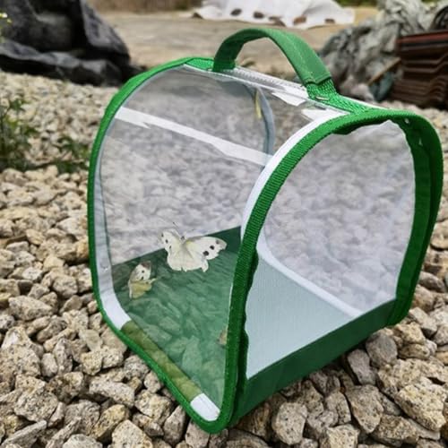 Schmetterlingszucht-Set Für Kinder/Erwachsene | Heimische Schmetterling Züchten | Insekt Und Schmetterling Habitat Käfig Terrarium Schutz Käfig | Raupenzucht Klein Ab 3 Jahren, Grün von Generisch