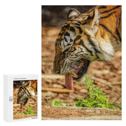 Sibirischer Tiger 300 Teile Set Holzpuzzle - Poliertes Holz, Perfekte Geschicklichkeitsentwicklung für Tierliebhaber von Generisch