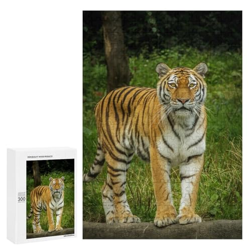 Sibirischer Tiger 300 Teile Set Holzpuzzle - Poliertes Holz, perfektes therapeutisches Hobby für Kunstliebhaber Sibirischer Tiger 300 Teile Set Holzpuzzle - Poliertes Holz, perfektes therapeutisches Hobby für Kunstliebhaber von Generisch