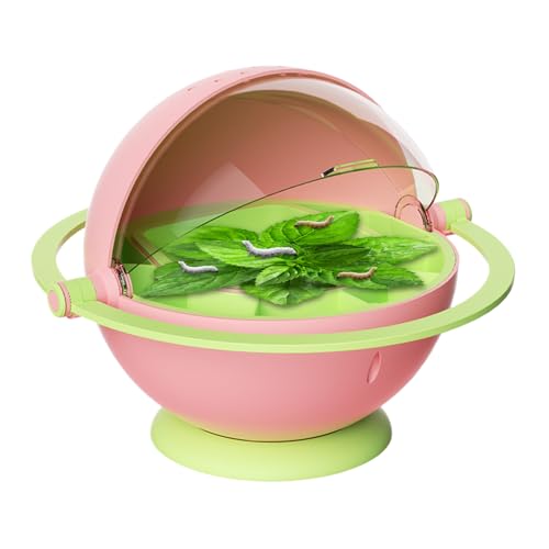 Silkworm Breeding Box, Silkworm Container Hatching Box, 9.25x9.53x7.17 Inches Transparent Observation, Fun Educational Growth Habitat Cage for School, Classroom & Home Use von Generisch