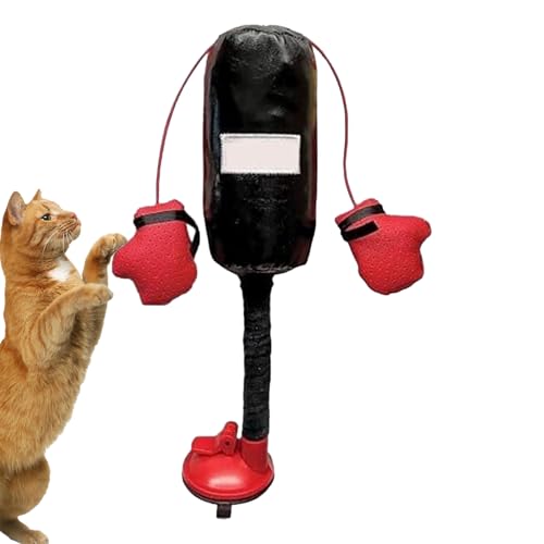 Spielzeug für Katzen Boxsack - Interaktives Boxspielzeug für Katzen, Interaktives Spielzeug für Kätzchen Boxsack | Boxsack Mit Handschuhen Spielzeug für Katzen Boxsack Creat Spielzeug für Katzen Boxsack - Interaktives Boxspielzeug für Katzen, Interaktives Spielzeug für Kätzchen Boxsack | Boxsack Mit Handschuhen Spielzeug für Katzen Boxsack Creat von Generisch