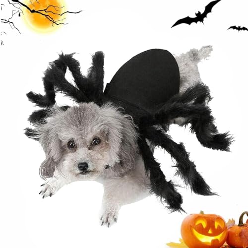 Spinnenkostüm Katze Halloween Spinne Hundekostüm Halloween Party Cosplay Realistisches S-pinnen Aussehen Einstellbar Plüsch Für Kleine Mittelgroße Hunde Und Katzen von Generisch