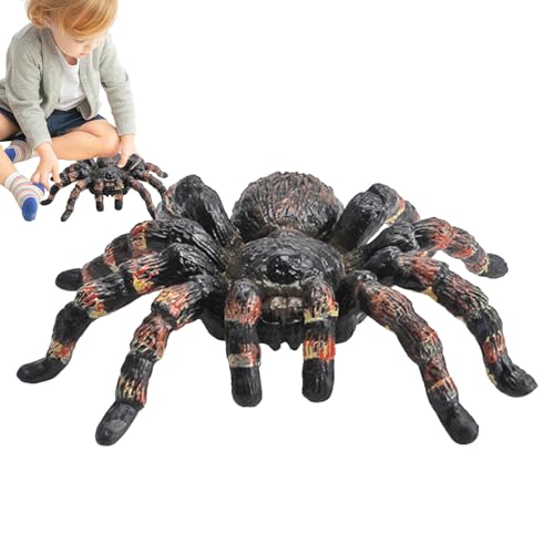 Spinnenmodell, Spinnenfigur, Künstliche Spinne Halloween-Dekoration, Spinnen-Ornament, realistische Spinne, pädagogisches Lernspielzeug, künstliche Spinne, Halloween-Dekoration für das Lernen von Kind von Generisch