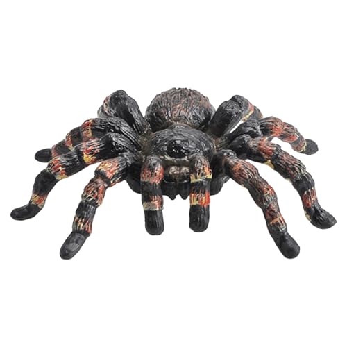Spinnenmodell - Lebensartiges Tarantula -Figur | Scary Arachnid Replik, Detaillierte Sechsbeinige Kreaturdekor, Realistische Spinnenausstellung Perfekt Für Enthusiasten Home Office Spinnenmodell - Lebensartiges Tarantula -Figur | Scary Arachnid Replik, Detaillierte Sechsbeinige Kreaturdekor, Realistische Spinnenausstellung Perfekt Für Enthusiasten Home Office von Generisch