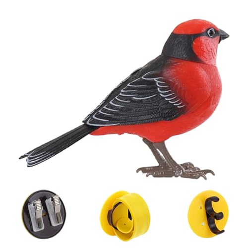 Sprechender Vogel | Vogel Figuren Spielzeug - Realistischer Sprechender Elektronischer Schreibtisch Haustier Für Sensorisches Spiel Geburtstag Zimmer Deko Sprechender Vogel | Vogel Figuren Spielzeug - Realistischer Sprechender Elektronischer Schreibtisch Haustier Für Sensorisches Spiel Geburtstag Zimmer Deko von Generisch