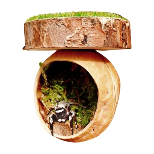 Springspinnengehege – Gehege | Spinnenversteck | Holz magnetisch springende Spinne verstecken Lebensräume | Handgefertigtes Reptilien-Amphibien-Zubehör magnetisch für Vogelspinne Hauskäfig kleine von Generisch