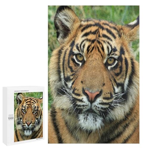 Striped Predator 1000 Teile Set Holzpuzzle - Hartholz, perfekte Geschicklichkeitsentwicklung für Tierliebhaber Striped Predator 1000 Teile Set Holzpuzzle - Hartholz, perfekte Geschicklichkeitsentwicklung für Tierliebhaber von Generisch