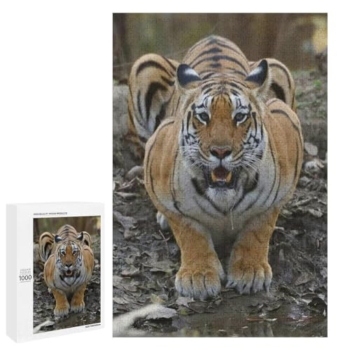 Striped Predator 1000 Teile Set Holzpuzzle - laminiertes Lindenholz, perfekte Fähigkeitsentwicklung für Paare von Generisch