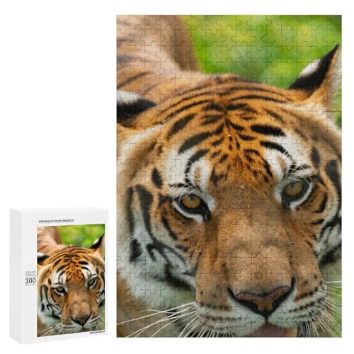 Striped Predator 300 Teile Set Holzpuzzle - Laminiertes Lindenholz, perfekte Fähigkeitsentwicklung für Kunstliebhaber Striped Predator 300 Teile Set Holzpuzzle - Laminiertes Lindenholz, perfekte Fähigkeitsentwicklung für Kunstliebhaber von Generisch