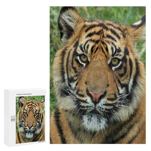 Striped Predator 300 Teile Set Holzpuzzle - Poliertes Holz, Perfektes Kunstdisplay für Tierliebhaber Striped Predator 300 Teile Set Holzpuzzle - Poliertes Holz, Perfektes Kunstdisplay für Tierliebhaber von Generisch