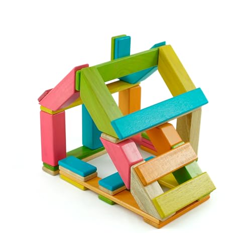 Tegu Magnetisches Entdeckerset Bunt 40-teilig Magnetische Holzbausteine Holzset Holzspielzeug Bausteine für Kinder von Generisch