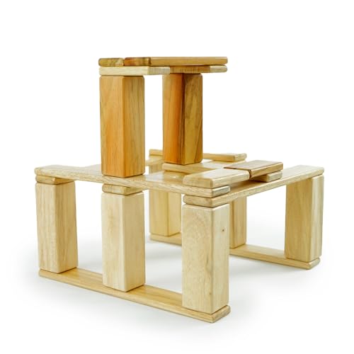 Tegu Magnetisches Entdeckerset Natur 22-teilig Magnetische Holzbausteine Holzset Holzspielzeug Bausteine für Kinder Tegu Magnetisches Entdeckerset Natur 22-teilig Magnetische Holzbausteine Holzset Holzspielzeug Bausteine für Kinder von Generisch