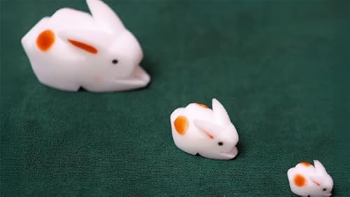 The Bunnies! 3D Hasen (Eltern, Kinder & Opa) von Generisch