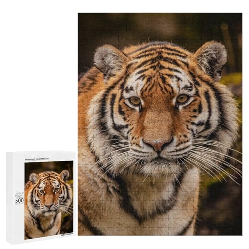 Tiger im Dschungel 500 Teile Set Holzpuzzle - Umweltfreundliches Holz, perfektes therapeutisches Hobby für Kunstliebhaber Tiger im Dschungel 500 Teile Set Holzpuzzle - Umweltfreundliches Holz, perfektes therapeutisches Hobby für Kunstliebhaber von Generisch