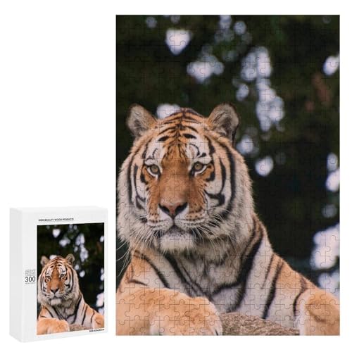 Tiger im Wald 300 Teile Set Holzpuzzle - Hartholz, perfektes kreatives Geschenk für Sammler von Generisch