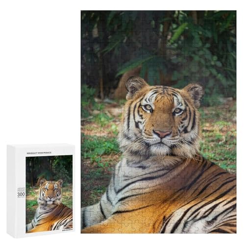 Tiger im Wald 300 Teile Set Holzpuzzle - Laminiertes Lindenholz, perfektes therapeutisches Hobby für Paare Tiger im Wald 300 Teile Set Holzpuzzle - Laminiertes Lindenholz, perfektes therapeutisches Hobby für Paare von Generisch