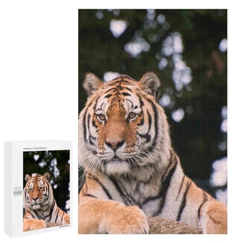 Tiger in Nature 1000 Teile Holzpuzzle - Naturholz, perfektes Kunstdisplay für Kunstliebhaber Tiger in Nature 1000 Teile Holzpuzzle - Naturholz, perfektes Kunstdisplay für Kunstliebhaber von Generisch