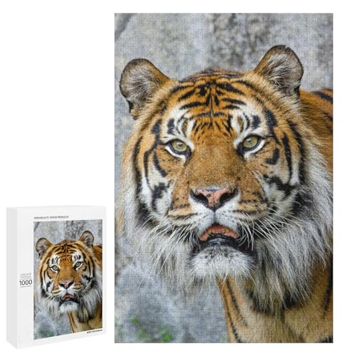 Tiger in Nature 1000 Teile Set Holzpuzzle - Poliertes Holz, Perfektes kreatives Geschenk für Paare von Generisch