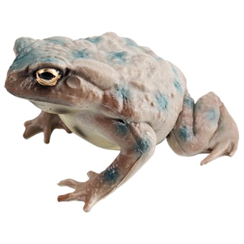 Toad Toy Figur - Realistische Froschfiguren | Lustiges PVC -Krötespielzeug | 1,26 Zoll Miniaturtiere Ornamente Modelle | Nette Froschstatue -Modelle | Sammlerstecktier Für Die Heimschule von Generisch