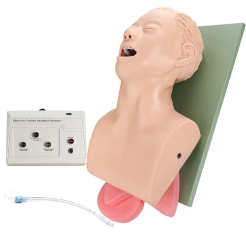 Tracheal Intubation Manikin Simulator für Atemwegsmanagement-Training, Wissenschaftsunterricht und Endotracheale Praxis Studie Tracheal Intubation Manikin Simulator für Atemwegsmanagement-Training, Wissenschaftsunterricht und Endotracheale Praxis Studie von Generisch