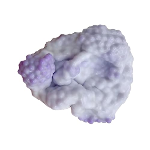 Trauben Stressball - Bunte Perlen Formbaren Vakuum Trauben Stress Ball Spielzeug | Kleines Perlen-Quetschball-Spielzeug | Trauben-Stressabbauball | Perlen-Stressball | Vakuum Weintrauben Stress Ball Trauben Stressball - Bunte Perlen Formbaren Vakuum Trauben Stress Ball Spielzeug | Kleines Perlen-Quetschball-Spielzeug | Trauben-Stressabbauball | Perlen-Stressball | Vakuum Weintrauben Stress Ball von Generisch