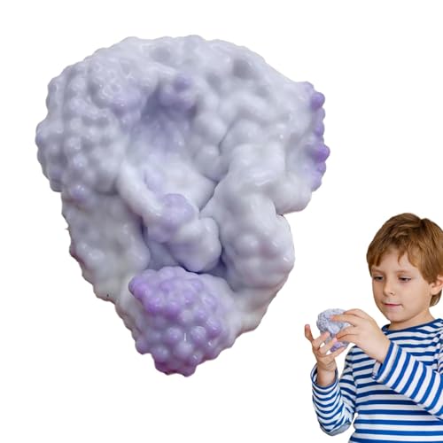 Trauben Vakuum Stressball | Flexible Stress Ball | Squishy Stress Ball mit Perlen und Sound | Sensorisches Quetschball Spielzeug zum Stressabbau | Squeeze Ball Fidget Toys für Kinder und Erwachsene von Generisch