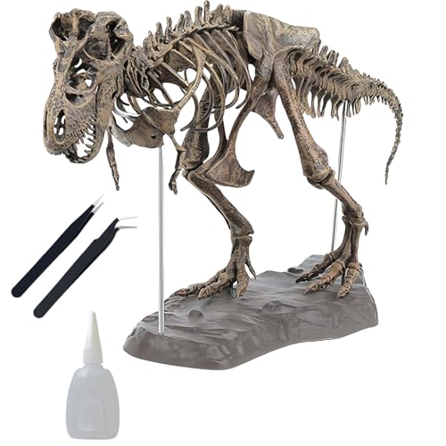 Tyrannosaurus Skelett-Montagemodell-Set mit Kleber und Pinzette, 70 cm, T-Dinosaurier-Tiermodell mit Montagewerkzeugen, Dinosaurier-Dekormodell für Erwachsene und Kinder von Generisch