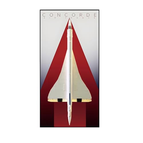 Wandhalterung Display Ständer für Le-go-o Technic 10318 Concorde - Display Wand Panel Kunst Wandhalterung Rahmen Kompatibel mit Le-go-a 10318, Geschenk für Enthusiasten - 115 x 50 cm (Basics,A) von Generisch