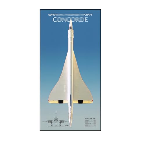 Wandhalterung Display Ständer für Le-go-o Technic 10318 Concorde - Display Wand Panel Kunst Wandhalterung Rahmen Kompatibel mit Le-go-a 10318, Geschenk für Enthusiasten - 115 x 50 cm (Basics,B) von Generisch