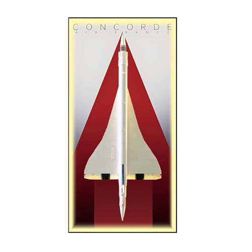 Wandhalterung Display Ständer für Le-go-o Technic 10318 Concorde - Display Wand Panel Kunst Wandhalterung Rahmen Kompatibel mit Le-go-a 10318, Geschenk für Enthusiasten - 115 x 50 cm (Licht, A) von Generisch