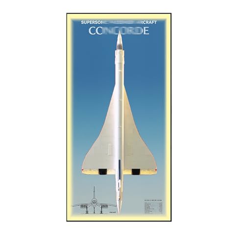 Wandhalterung Display Ständer für Le-go-o Technic 10318 Concorde - Display Wand Panel Kunst Wandhalterung Rahmen Kompatibel mit Le-go-a 10318, Geschenk für Enthusiasten - 115 x 50 cm (Licht, B) von Generisch
