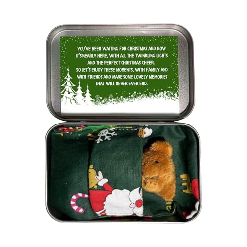 Weihnachtsbär in Einer | Mini Bärentasche Plüsch gefülltes Tier | Tiny Bear in Box Geschenkset mit Quiltkarten | Nettes Bärenspielzeug für Babyparty -Geburtstagsfeier bevorzugt Urlaubsbedenken von Generisch