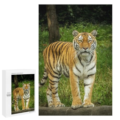 Wild Cat 1000 Teile Set Holzpuzzle - Laminiertes Lindenholz, perfektes kreatives Geschenk für Kunstliebhaber Wild Cat 1000 Teile Set Holzpuzzle - Laminiertes Lindenholz, perfektes kreatives Geschenk für Kunstliebhaber von Generisch