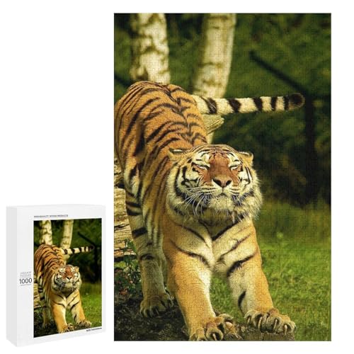 Wild Cat 1000 Teile Set Holzpuzzle - Umweltfreundliches Holz, Perfekte Geschicklichkeitsentwicklung für Sammler von Generisch