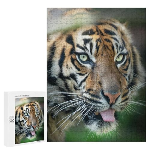 Wild Cat 500 Teile Set Holzpuzzle - Hartholz, perfekter Indoor-Spaß für Freunde von Generisch