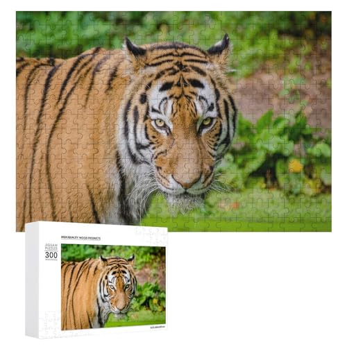 Wildwood 300 Teile Holzpuzzle Lindenholz Tiger Thema für Natur-inspirierten Spaß von Generisch