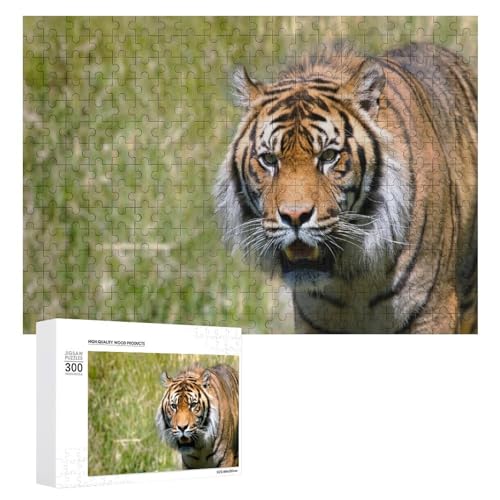 Wildwood 300 Teile Lindenholz Puzzle Tiger Thema Wildlife Kunst für Geschenk und Dekoration Wildwood 300 Teile Lindenholz Puzzle Tiger Thema Wildlife Kunst für Geschenk und Dekoration von Generisch