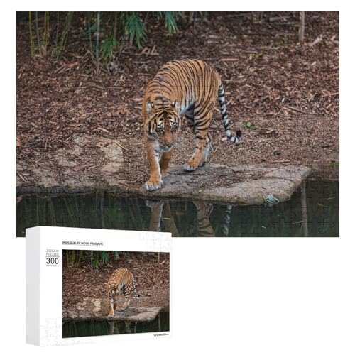 Wildwood 300 Teile Tiger Art Puzzle Lindenholz Wildlife Puzzle für alle Altersgruppen Wildwood 300 Teile Tiger Art Puzzle Lindenholz Wildlife Puzzle für alle Altersgruppen von Generisch