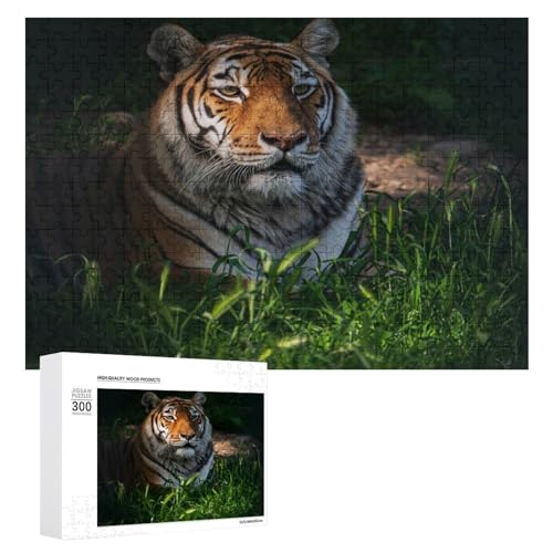 Wildwood 300 Teile Tiger Puzzle Lindenholz Wildlife Thema für alle Altersgruppen von Generisch