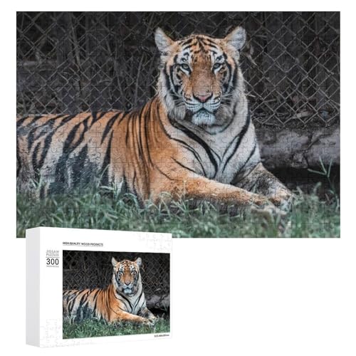 Wildwood 300 Teile Wildlife Puzzle, Lindenholz Tiger Thema für Puzzle-Liebhaber Wildwood 300 Teile Wildlife Puzzle, Lindenholz Tiger Thema für Puzzle-Liebhaber von Generisch