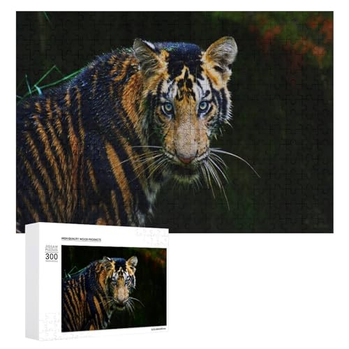 Wildwood 300 Teile Wildlife Puzzle, Lindenholz Tiger Thema für entspannte Abende von Generisch