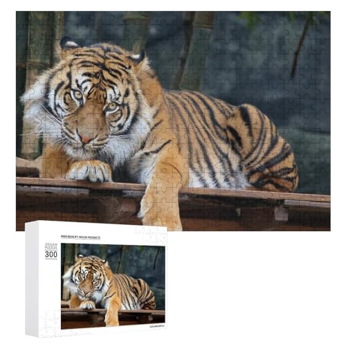 Wildwood Tiger Illustration Puzzle 300 Teile, Lindenholz Puzzle für Naturliebhaber Wildwood Tiger Illustration Puzzle 300 Teile, Lindenholz Puzzle für Naturliebhaber von Generisch