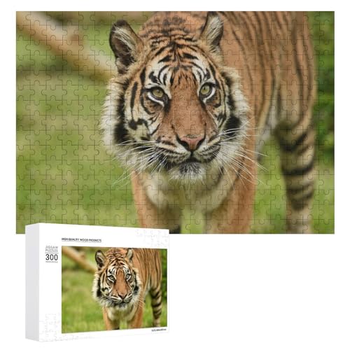 Wildwood Tiger Illustration Puzzle 300 Teile Holz Lindenholz Puzzle für Familien Wildwood Tiger Illustration Puzzle 300 Teile Holz Lindenholz Puzzle für Familien von Generisch