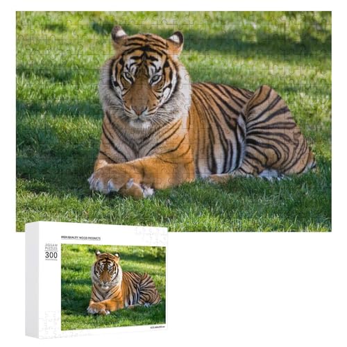 Wildwood Tiger Illustration Puzzle 300 Teile Lindenholz Wildlife Art für Dekor Wildwood Tiger Illustration Puzzle 300 Teile Lindenholz Wildlife Art für Dekor von Generisch