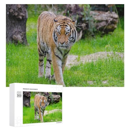 Wildwood Tiger Puzzle, 300 Teile Lindenholz, Wildlife Jigsaw for Gift Giving Wildwood Tiger Puzzle, 300 Teile Lindenholz, Wildlife Jigsaw for Gift Giving von Generisch