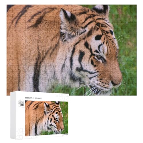 Wildwood Tiger Puzzle, 300 Teile Lindenholz Wildlife Puzzle für Naturfans von Generisch