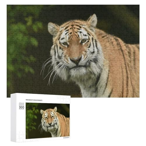Wildwood Tiger Puzzle 300 Teile, Lindenholz Puzzle für Puzzle-Enthusiasten Wildwood Tiger Puzzle 300 Teile, Lindenholz Puzzle für Puzzle-Enthusiasten von Generisch